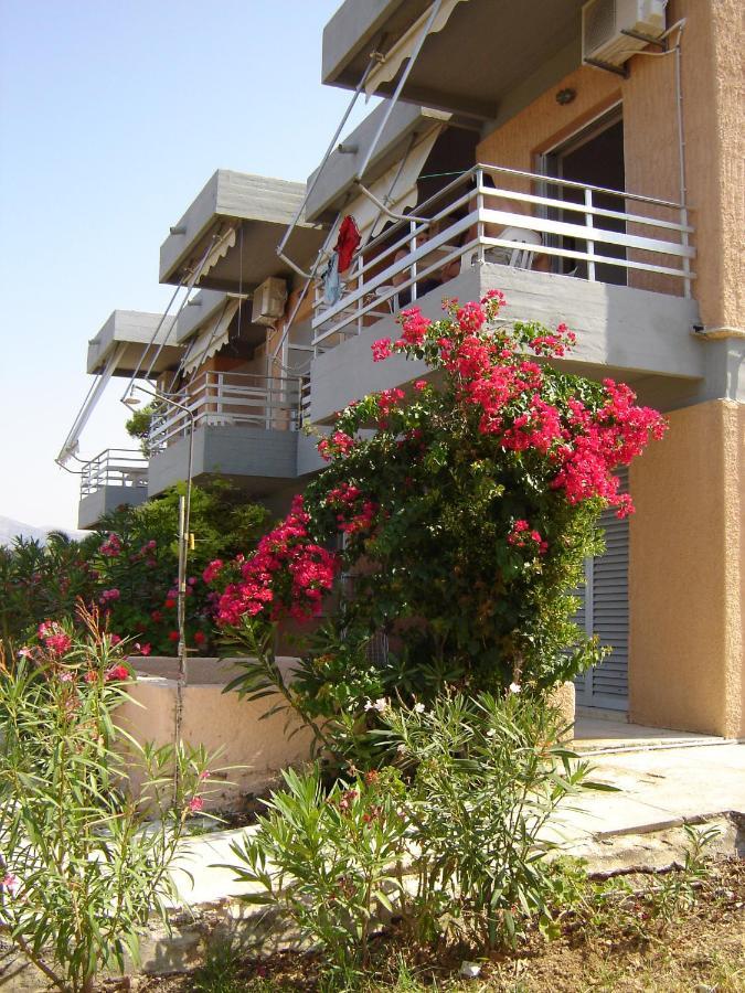 Galini And Apartamento *